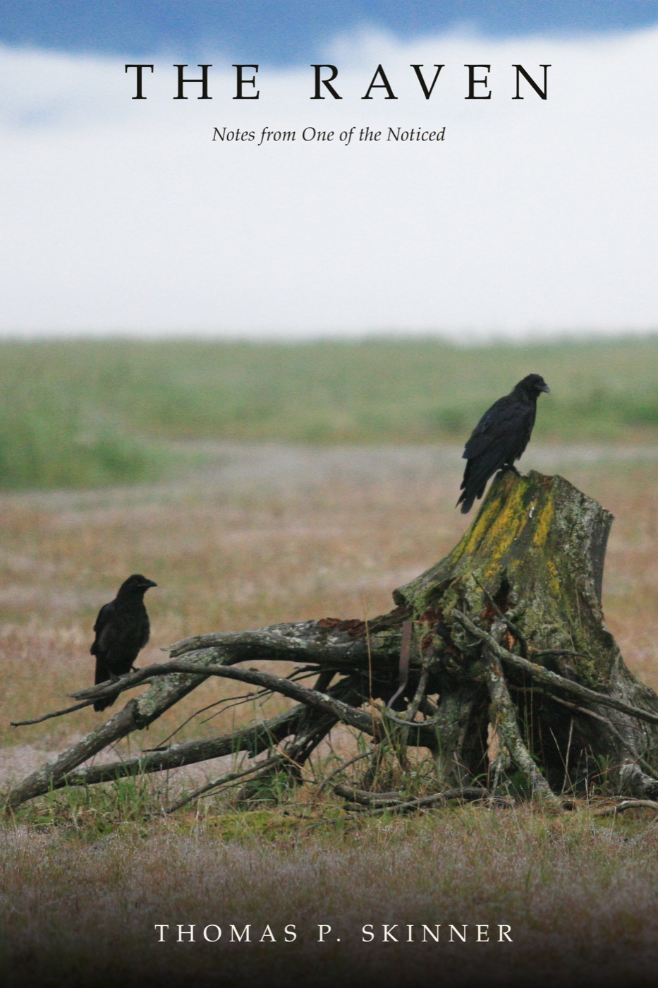 The Raven — Notes from One of the Noticed — cover
